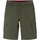 Textil Criança Shorts / Bermudas Levi's 8EC769-E3V Verde
