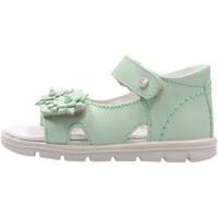 Sapatos Criança Sapatos aquáticos Falcotto - Sandalo verde CLES-0F14 Verde