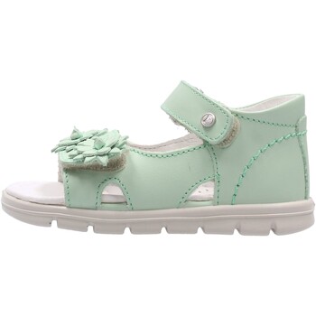 Sapatos Criança Sapatos aquáticos Falcotto - Sandalo verde CLES-0F14 Verde