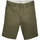 Textil Homem Shorts / Bermudas Levi's 17202-0004 Verde