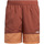Textil Homem Shorts / Bermudas adidas Originals GN3838 Castanho