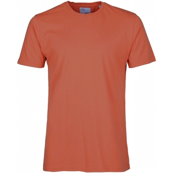 Textil T-shirts e Pólos Colorful Standard T-shirt  Classic Organic dark amber Vermelho