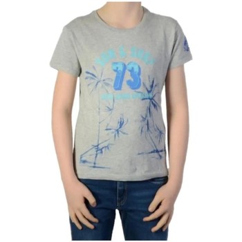 Textil Rapaz T-Shirt mangas curtas Pepe Fitted JEANS  Cinza