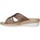 Sapatos Mulher Chinelos Cinzia Soft MZ3063 Castanho