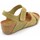 Sapatos Mulher Sapatos & Richelieu Interbios-Silvio 5368 Cáqui