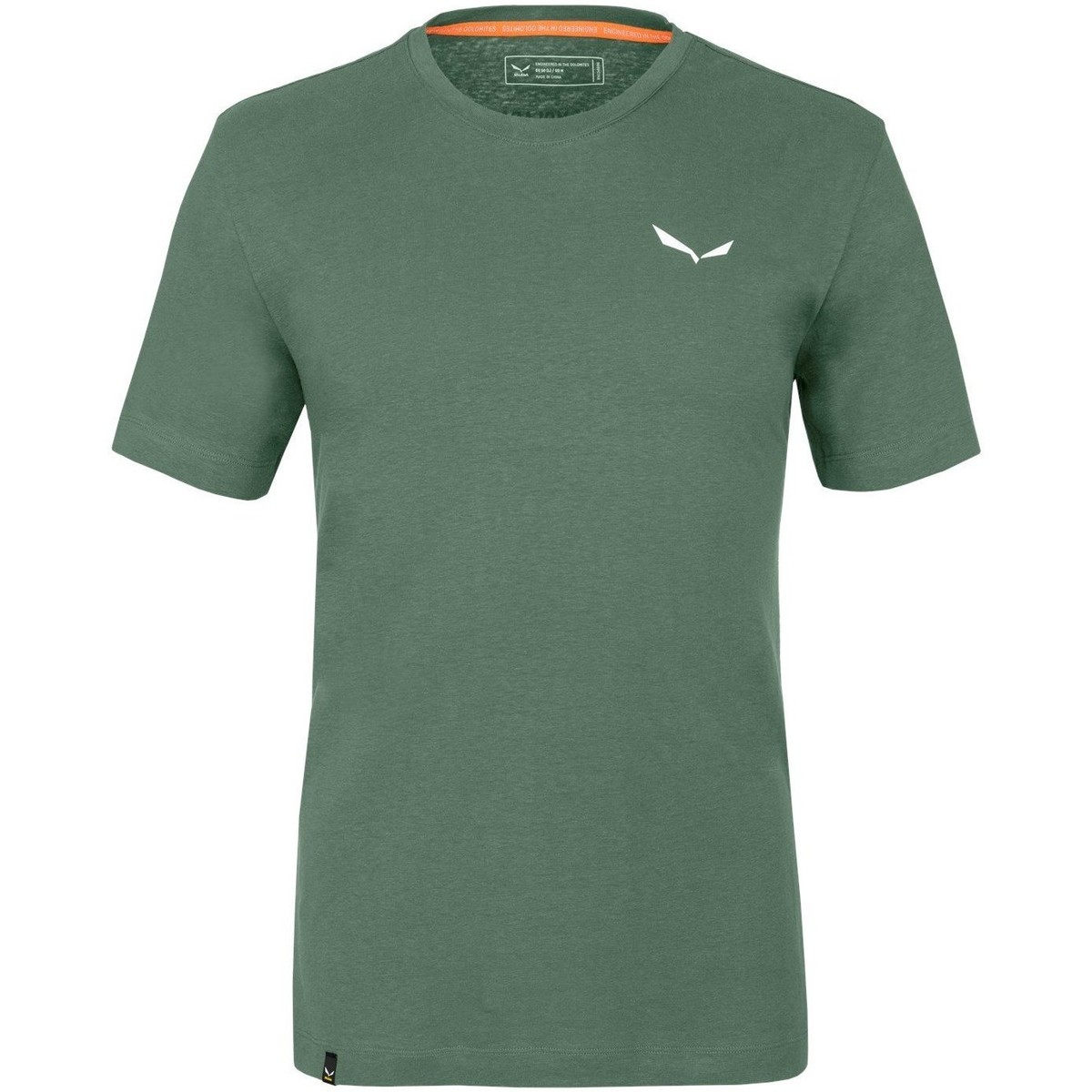 Textil Homem T-shirts e Pólos Salewa Pure Dolomites Hemp Men's T-Shirt 28329-5320 Verde