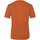 Textil Homem T-shirts e Pólos Salewa Pure Dolomites Hemp Men's T-Shirt 28329-4170 Laranja