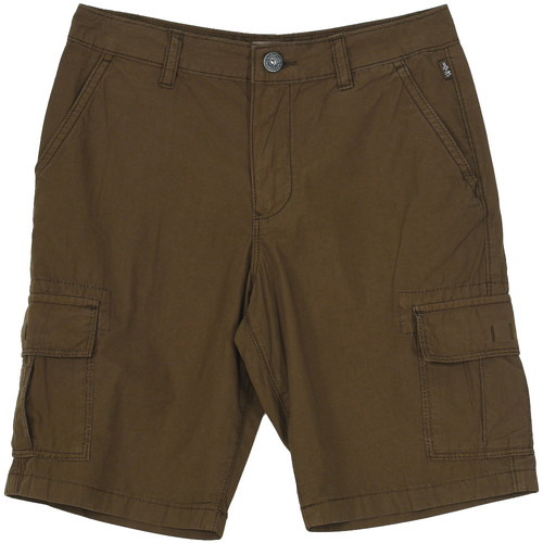 Textil Rapaz Shorts / Bermudas Napapijri NP0A4E4G-GW1 Verde