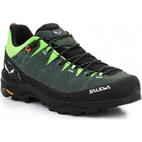 Sapatos Homem Alp Trainer 2 Gore-tex Salewa Alp Trainer 2 Men's Shoe 61402-5331 Verde