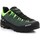 Sapatos Homem Sapatos de caminhada Salewa Alp Trainer 2 Men's Bicolour Shoe 61402-5331 Verde