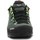 Sapatos Homem Sapatos de caminhada Salewa Alp Trainer 2 Men's Bicolour Shoe 61402-5331 Verde