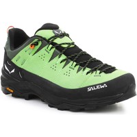 Sapatos Homem Sapatos de caminhada Salewa Alp Trainer 2 Gore-Tex® Men's Shoe 61400-5660 Verde