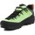 Sapatos Homem Sapatos de caminhada Salewa Alp Trainer 2 Gore-Tex® Men's Shoe 61400-5660 Verde