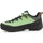 Sapatos Homem Sapatos de caminhada Salewa Alp Trainer 2 Gore-Tex® Men's Shoe power 61400-5660 Verde