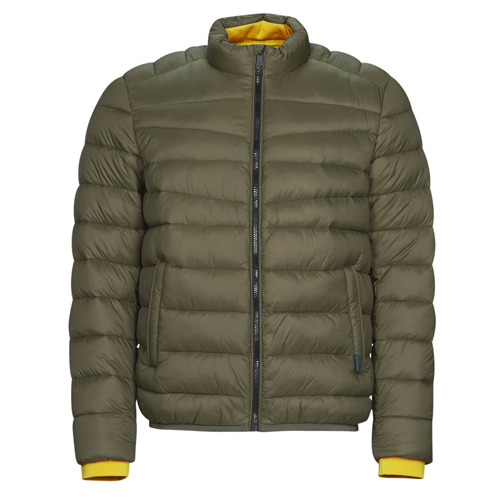 Textil Homem Quispos Outono / Inverno Short Puffer Jacket Cáqui