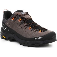 Sapatos Homem Mocassins & Sapato de vela Salewa Alp Trainer 2 Gore-Tex® Men's Shoe 61400-7953 Multicolor