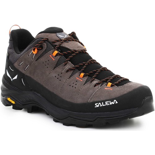 Sapatos Homem Pure Dolomites Hemp M T-shirt Salewa Alp Trainer 2 Gore-Tex® Men's Shoe 61400-7953 Multicolor
