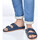 Sapatos Homem Sandálias Cacatoès Brasilia Azul