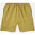 Textil Homem Shorts / Bermudas Dickies Pelican rapids Verde