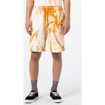 Textil Homem Shorts / Bermudas Dickies Seatac short Amarelo