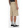 Textil Homem Shorts / Bermudas Dickies 13in mlt pkt w/st rec Bege