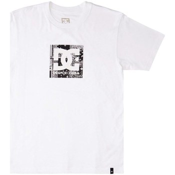 Textil Homem T-Shirt mangas curtas DC Shoes Square Star Fill Branco