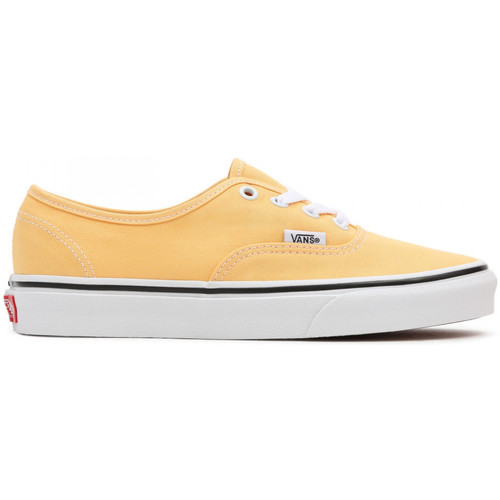 Sapatos Sapatos estilo skate Vans Authentic Amarelo