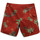 Textil Homem Fatos e shorts de banho Vans Mixed boardshort ii Vermelho