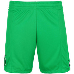 TeFast Rapaz Shorts / Bermudas Le Coq Sportif  Verde