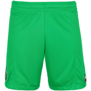 Textil Rapaz Shorts / Bermudas Le Coq Sportif  Verde