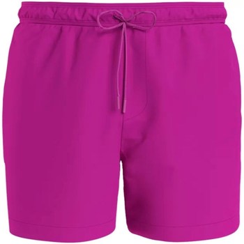 Textil Homem Shorts / Bermudas Calvin Klein Jeans Moon KM0KM00700 Violeta