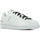 Sapatos Mulher Sapatilhas adidas Originals Superstar Branco