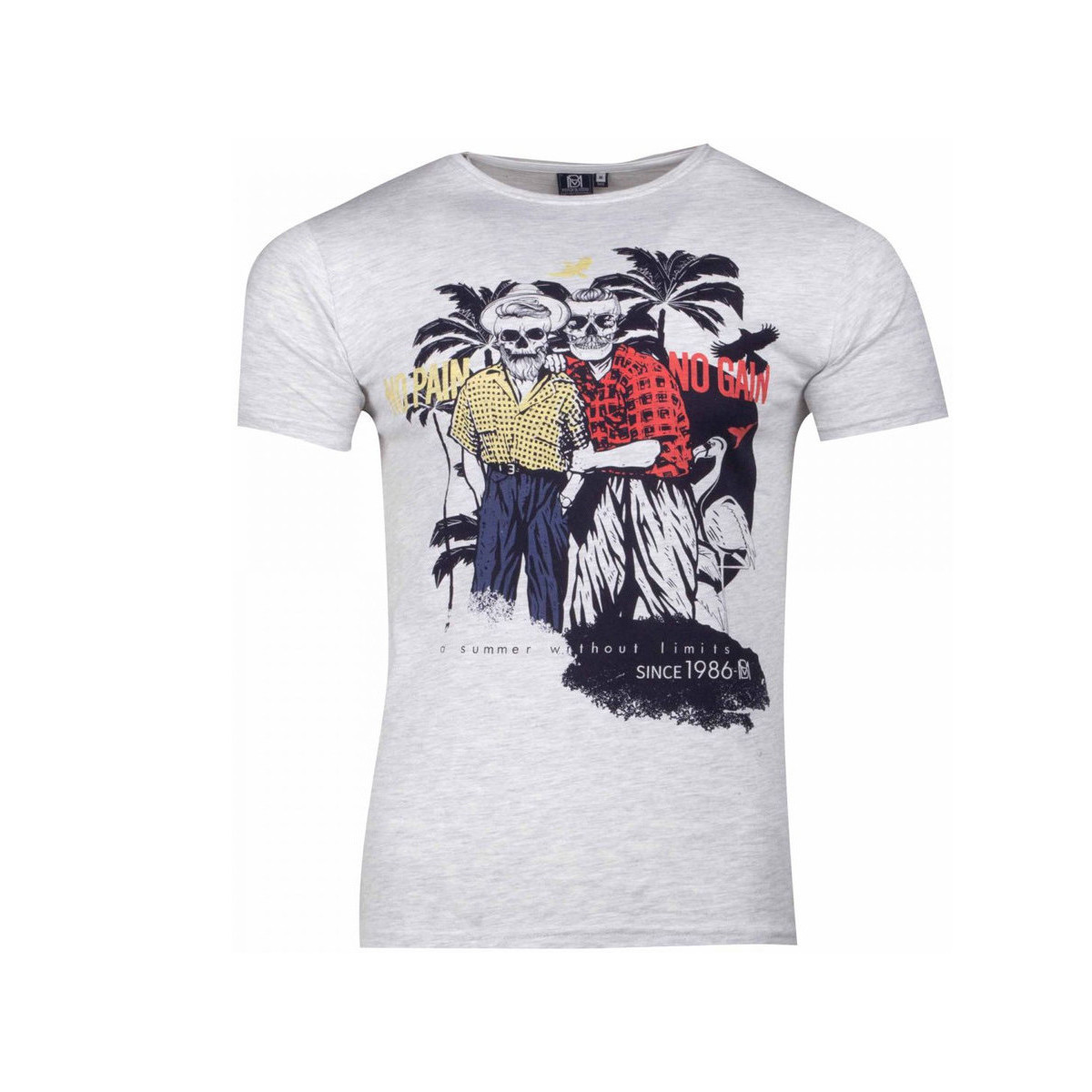 Textil Homem T-shirts e Pólos La Maison Blaggio  Cinza