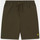 Textil Homem Fatos e shorts de banho Lyle And Scott Plain swim short Verde