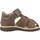 Sapatos Rapaz Sandálias Primigi 1861000 Castanho