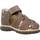 Sapatos Rapaz Sandálias Primigi 1861000 Castanho