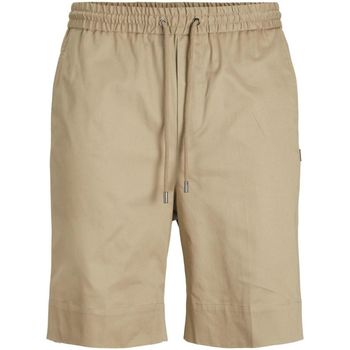 Textil Homem Shorts / Bermudas Jack & Jones 12205516 STAKON-LEAD GRAY Bege