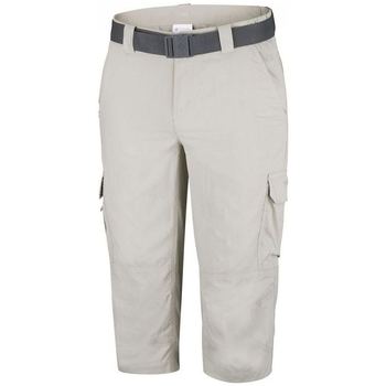 Textil Homem Shorts / Bermudas Columbia M SILVER RIDGE II C Cinza