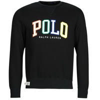 Textil Homem Sweats tie Polo Ralph Lauren LSCNM4-LONG SLEEVE-SWEATSHIRT Preto / Multicolor