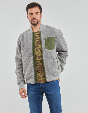 Textil Homem Jaquetas Polo Ralph Lauren LSBOMBERM5-LONG SLEEVE-FULL ZIP Cinza