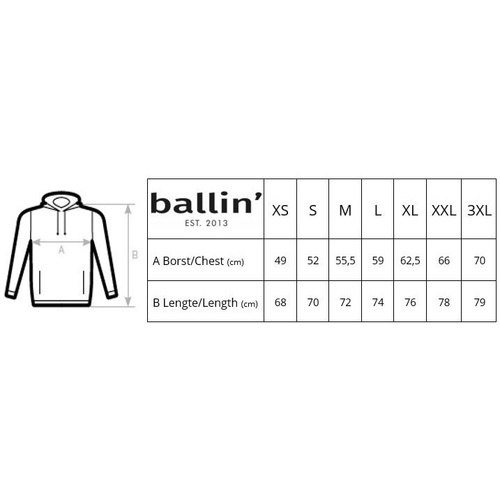 Ballin Est. 2013 Basic Hoodie Cinza