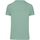 Textil Homem T-Shirt see mangas curtas Ballin Est. 2013 Regular Fit Shirt see Verde