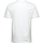 Textil Homem Polos mangas curta Lyle & Scott Plain Polo Shirt Branco