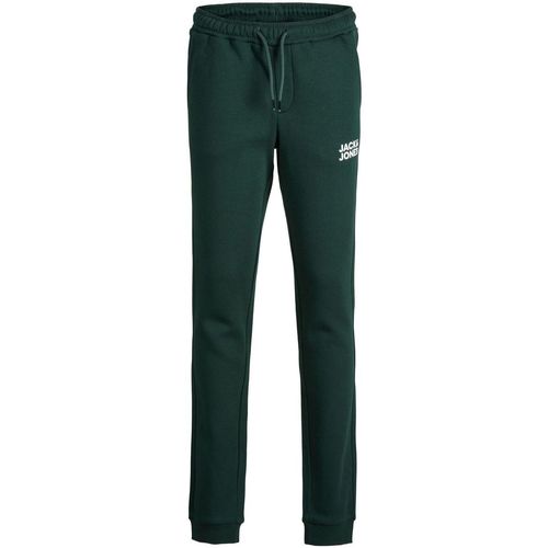 Textil Rapaz Calças Joggings & roupas de treino 12179798 GORDON-PINE GROVE Verde