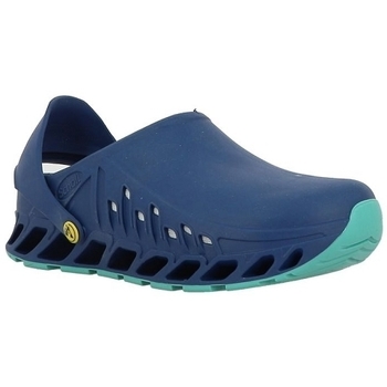 Scholl EVOFLEX Azul