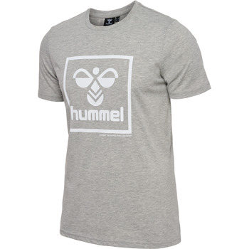Textil Homem T-Shirt mangas curtas hummel T-shirt  Lisam 2.0 Cinza