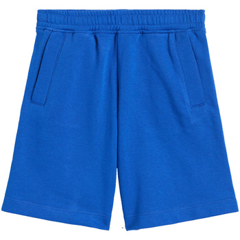Textil Criança Fatos e shorts de banho Diadora 102178250 Azul