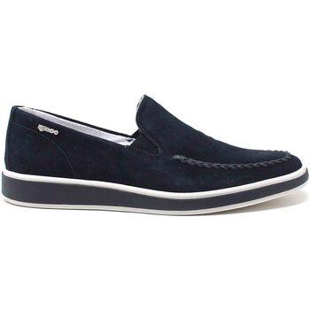 Sapatos Homem Mocassins IgI&CO 1606900 Azul