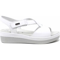 Sapatos Mulher Sandálias Susimoda 20120 Branco