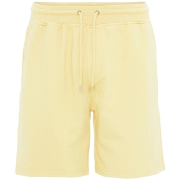 Textil Shorts / Bermudas Colorful Standard Short  Classic Organic soft yellow Amarelo